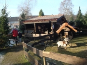 Kerststal0716_640x480