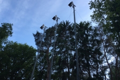 Oefenen (2)