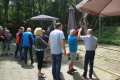 zGuld (8)