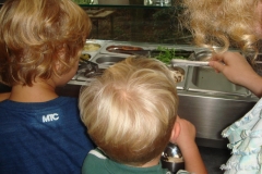 Buurtfeest (33)