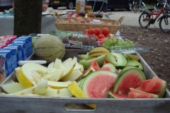 Buurtfeest (9)