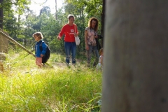 Jubileum (14)
