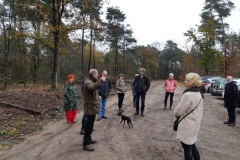 Boswandeling-1