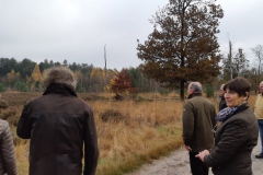 Boswandeling-2