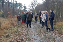 Boswandeling-3