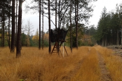 Boswandeling-7