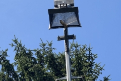 Schieten-7