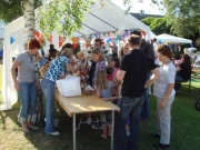 BF2008-037