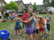 BF2009-010