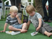 BF2009-051
