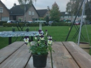 Buurtfeest2014 (65)