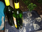 Walking-Dinner (26)