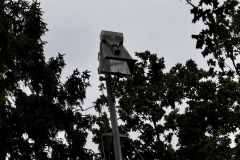 Buurtkoning-15