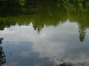 Fietstocht-01-06-2014 (6)