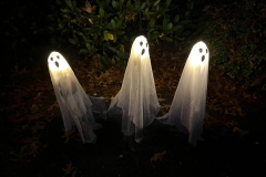 Halloween-21