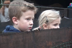 LocalTV-Bergeijk (4)