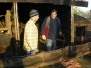 Kerststal 12-08