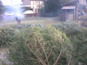 Kerst08-013