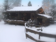 Kerststal 2008 004