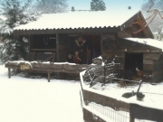 Kerststal 2008 005