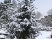 Kerststal 2008 008