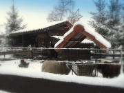 Kerststal 2008 009