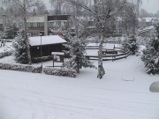 Kerststal 2008 015