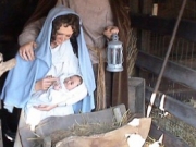 Kerststal 2008 057