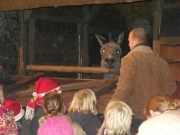 Afbeelding 009