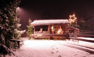 Kerststal 12-10