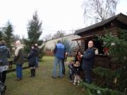 Kerststal (114)_800x600