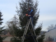 Kerststal (43)_338x600