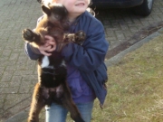 Kerststal (45)_338x600