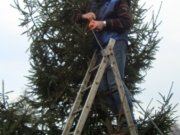 Kerststal (47)_338x600
