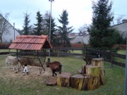 Kerststal (64)_800x600