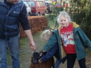 Kerststal (67)_338x600