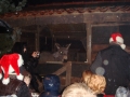 DSC00012_800x600