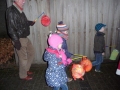 P1070602_800x534