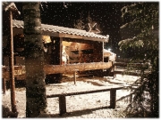KStal03-C