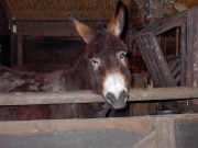 kerst lieke 2003 015