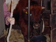 kerst lieke 2003 016