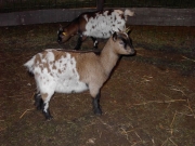 kerst lieke 2003 017
