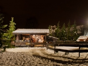 1-Snow (3)