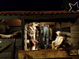 Kerststal 2017