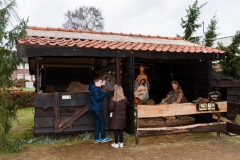 Kerststal2017 (11)