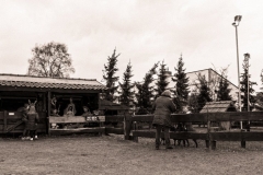 Kerststal2017 (14)