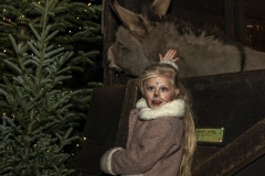 Kerststal-opening-21