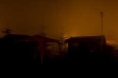 Kerststal-opening-33