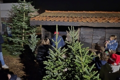Kerststal-opening-75