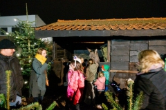 Kerststal-13